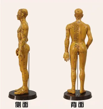 Диаграмма акупунктурных точек 48 см, модель человеческого тела, мужская и женская модели, четкая модель акупунктурных точек меридиана человеческого тела