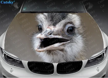 Наклейка на автомобиль со страусиным животным, Графическая Виниловая наклейка, Обложка, Графическая упаковка, Двигатель, индивидуальный дизайн 